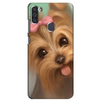 Чехол (ТПУ) Милые собачки для Samsung Galaxy M11 (Йоршенский терьер)