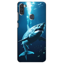 Чехол с картинкой «Хищники» для Samsung Galaxy M11 – Акула