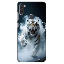 Чехол с картинкой «Хищники» для Samsung Galaxy M11 – Тигр