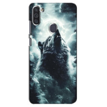 Чохол з картинкою 'Хижаки' для Samsung Galaxy M11