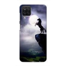 Чохли з зображенням різних тварин на Samsung Galaxy M12 (Кінь)