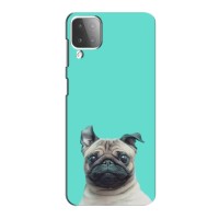 Бампер для Samsung Galaxy M12 с картинкой "Песики" – Собака Мопс