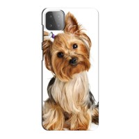 Чехол (ТПУ) Милые собачки для Samsung Galaxy M12 – Собака Терьер
