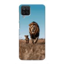 Чохол Король лев на Samsung Galaxy M12:
				Самсунг Гэлексі M12 – Мусафа і Сімба