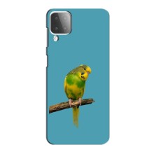 Силиконовый чехол с птичкой на Samsung Galaxy M12 – Попугайчик