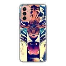 Чохли з зображенням різних тварин на Samsung Galaxy M13 (Яскравий Тигр)