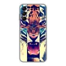 Чехлы с изображением разных животных для Samsung Galaxy M14 (M146) (Яркий Тигр)