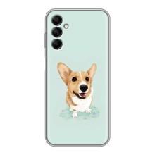 Чехлы с собаками для Samsung Galaxy M14 (M146) (VPrint) (Корги)