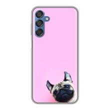 Бампер для Samsung Galaxy M15 (M156) з картинкою "Песики" (Собака на рожевому)