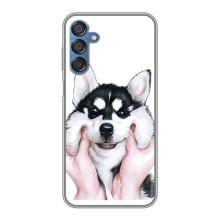 Бампер для Samsung Galaxy M15 (M156) з картинкою "Песики" (Собака Хаскі)