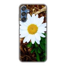 Чехол с ромашками на Samsung Galaxy M15 (M156) – Белая ромашка
