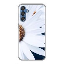 Чехол с ромашками на Samsung Galaxy M15 (M156) – Пол ромашки