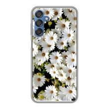 Чехол с ромашками на Samsung Galaxy M15 (M156) – Рамка в ромашках