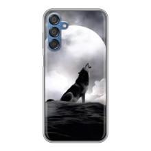 Чехол с Волком на Samsung Galaxy M15 (M156) – Волк и луна