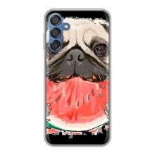 Чохол (ТПУ) Милі песики для Samsung Galaxy M15 (M156) (Смішний Мопс)