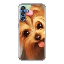 Чохол (ТПУ) Милі песики для Samsung Galaxy M15 (M156) (Йоркширський тер'єр)