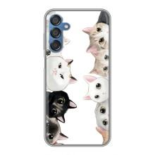 Силиконовый чехол с котиком для Samsung Galaxy M15 (M156) – Коты
