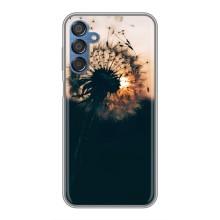 Силиконовый Чехол с одуванчиками на Samsung Galaxy M15 (M156) – Красивый одуванчик