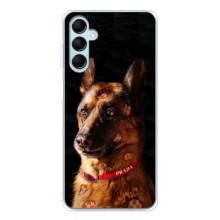 Чохли з картинкою животних Samsung Galaxy M16 (Овчарка)