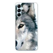 Чохли з картинкою животних Samsung Galaxy M16 (Вовк)