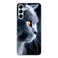 Чехлы с Котиками для Samsung Galaxy M16 (VPrint) (Серый Кот)