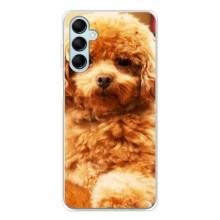 Чехлы с собаками для Samsung Galaxy M16 (VPrint) (Щенок Бишон)