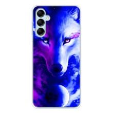 Чехол с Волком на Samsung Galaxy M16 – Арт-Волк