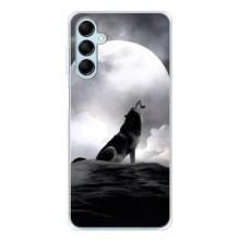 Чехол с Волком на Samsung Galaxy M16 – Волк и луна