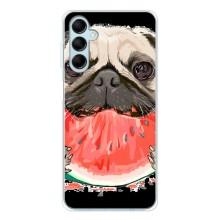 Чохол (ТПУ) Милі песики для Samsung Galaxy M16 (Смішний Мопс)