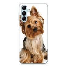 Чохол (ТПУ) Милі песики для Samsung Galaxy M16 (Пес Терьєр)