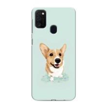 Чехлы с собаками для Samsung Galaxy M21 (VPrint) (Корги)