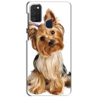 Чехол (ТПУ) Милые собачки для Samsung Galaxy M21 (Собака Терьер)