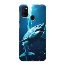 Чохол з картинкою 'Хижаки' для Samsung Galaxy M21 – Акула