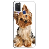 Чехол (ТПУ) Милые собачки для Samsung Galaxy M21s (Собака Терьер)