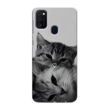 Чехол с рисунком кот на Samsung Galaxy M21s (Пара котов)