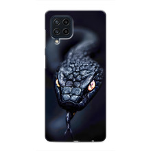 Чехол с картинкой «Хищники» для Samsung Galaxy M22 – Змея