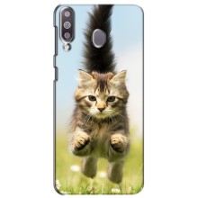 Чехлы с Котиками для Samsung Galaxy M30 (M305) (VPrint) (Прыжок кота)