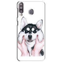 Бампер для Samsung Galaxy M30 (M305) с картинкой "Песики" – Собака Хаски