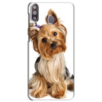 Чехол (ТПУ) Милые собачки для Samsung Galaxy M30 (M305) – Собака Терьер