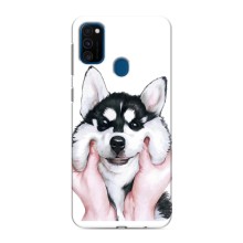 Чехлы с собаками для Samsung Galaxy M31 (VPrint) (Довольный Хаски)