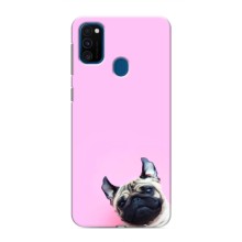 Чехлы с собаками для Samsung Galaxy M31 (VPrint) (Смешная собака)