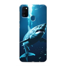 Чохол з картинкою 'Хижаки' для Samsung Galaxy M31 – Акула