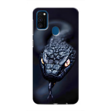 Чохол з картинкою 'Хижаки' для Samsung Galaxy M31 – Змія