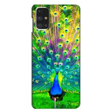 Чехол с птицами на Samsung Galaxy M31s (VPrint) (Яркий Павлин)