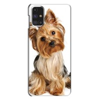 Чехол (ТПУ) Милые собачки для Samsung Galaxy M31s (Собака Терьер)