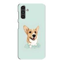 Чехлы с собаками для Samsung Galaxy M34 (5G) (VPrint) (Корги)