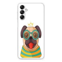Бампер для Samsung Galaxy M35 5G с картинкой "Песики" (Собака Король)