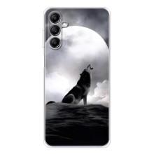 Чехол с Волком на Samsung Galaxy M35 5G – Волк и луна