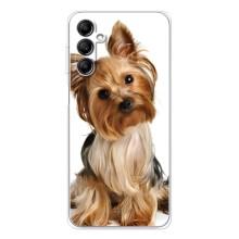 Чехол (ТПУ) Милые собачки для Samsung Galaxy M35 5G (Собака Терьер)
