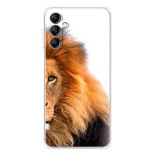 Чехлы с картинками животных Samsung Galaxy M36 (Лев грива)